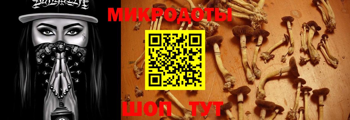 Псилоцибиновые грибы мухоморы Дмитров