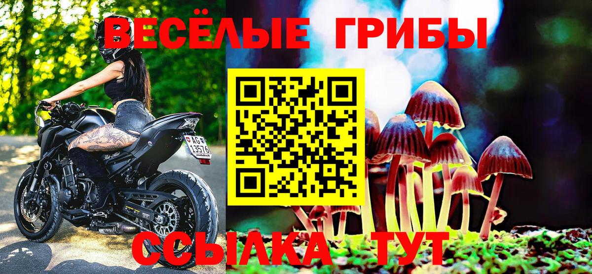 Псилоцибиновые грибы мицелий  Вход с VPN  Дмитров  Псилоцибиновые грибы MAGIC MUSHROOMS 